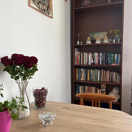 Apartament Przy Parku Czartoryskich Puławy Exterior foto