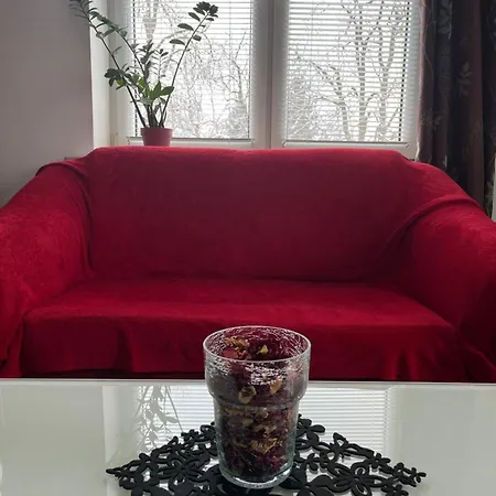 Apartament Przy Parku Czartoryskich Puławy Exterior foto