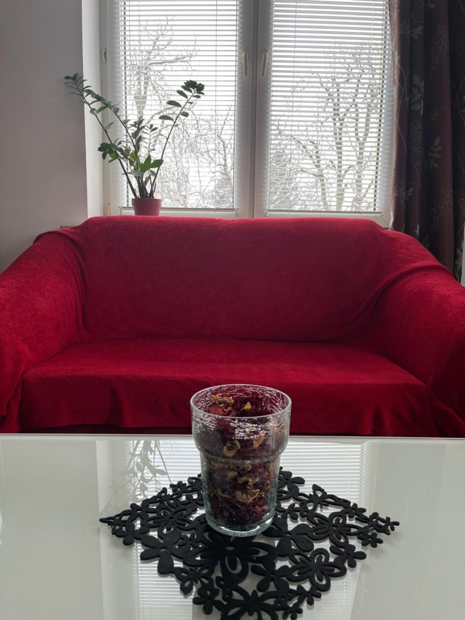Przy Parku Czartoryskich Apartment Puławy